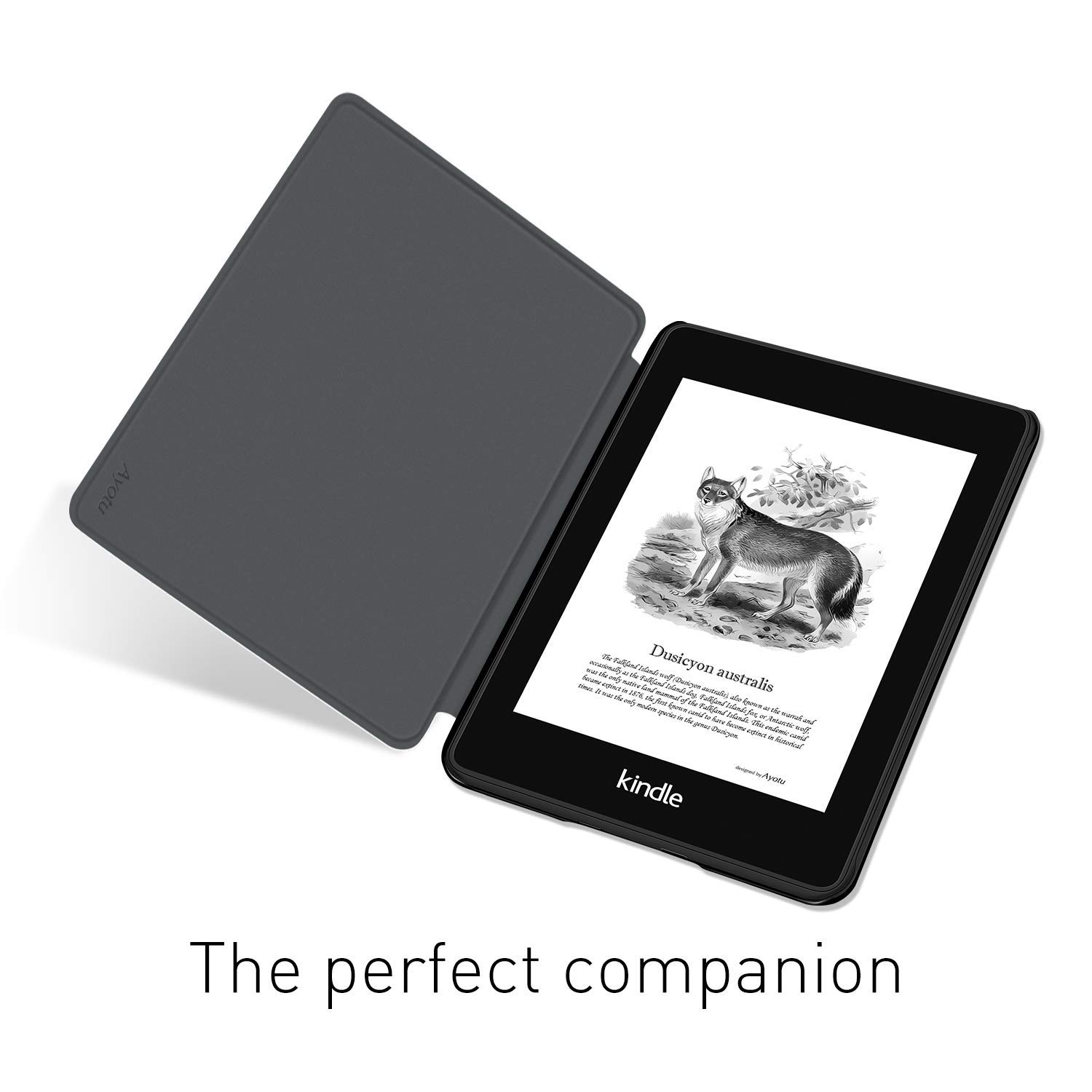 Dla Kindle Paperwhite 5/6/7th  – Kindle Tablet Accessories recenzja i cena